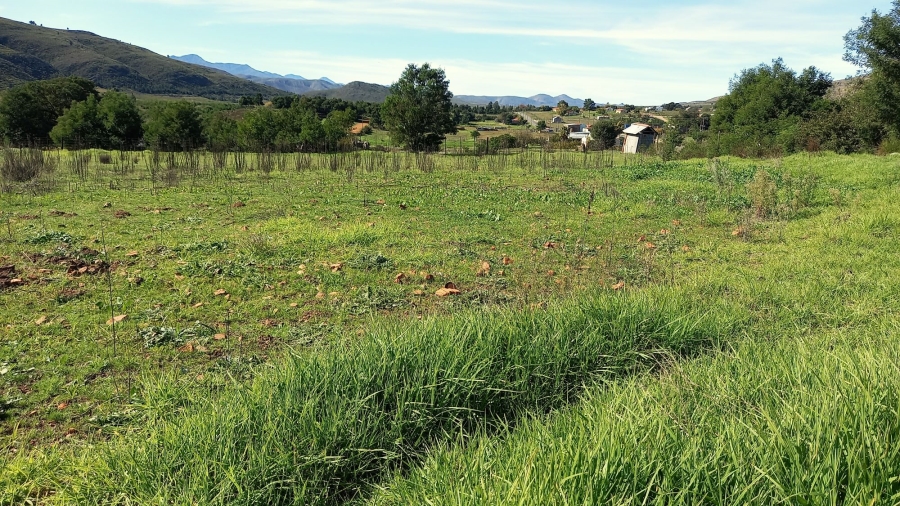 Commercial Property for Sale in Haarlem Western Cape